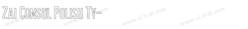 Zai Consul Polish Ty字体转换